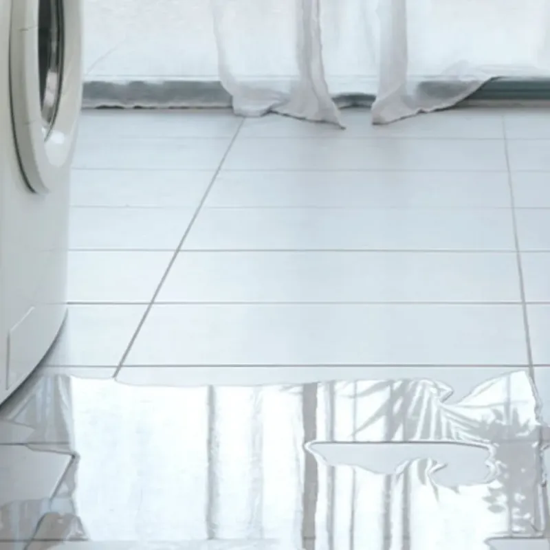 Appliance Leak Cleanup in Waverly, MN