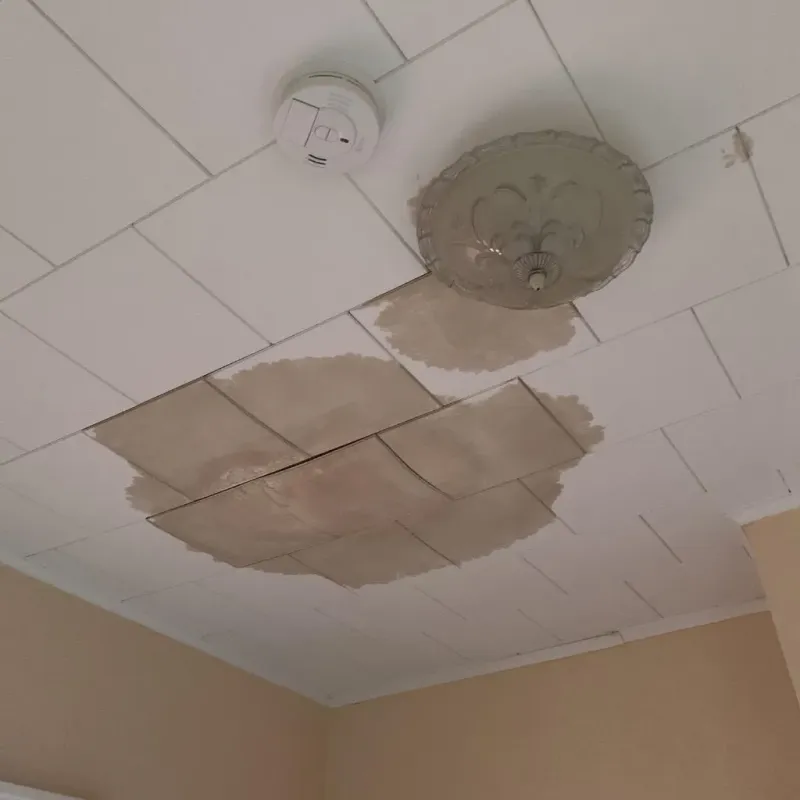 Ceiling Water Damage Repair in Waverly, MN
