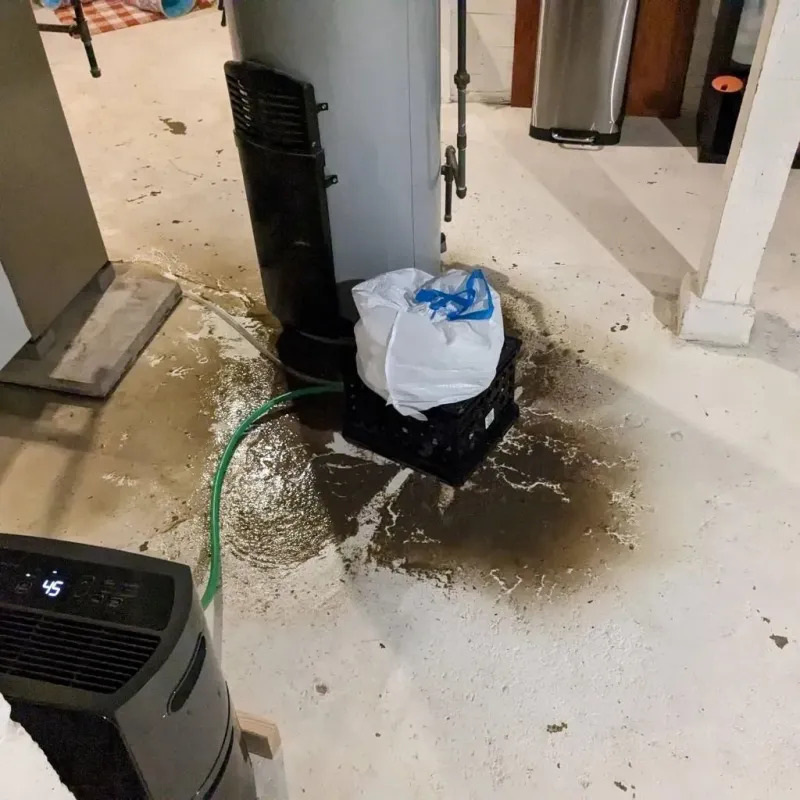 Sewage Backup Cleanup Service in Waverly, MN